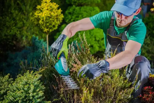 landscaping services Elwood